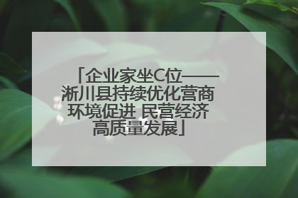 企业家坐C位——淅川县持续优化营商环境促进 民营经济高质量发展