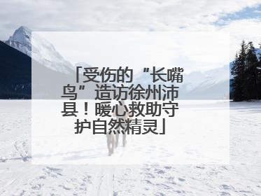 受伤的“长嘴鸟”造访徐州沛县！暖心救助守护自然精灵