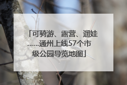 可骑游、露营、遛娃……通州上线57个市级公园导览地图
