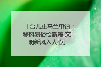 台儿庄马兰屯镇：移风易俗绘新篇 文明新风入人心