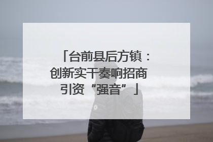 台前县后方镇：创新实干奏响招商引资“强音”