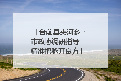 台前县夹河乡：市政协调研指导 精准把脉开良方
