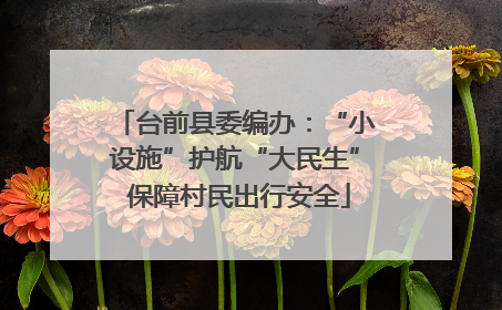 台前县委编办：“小设施”护航“大民生” 保障村民出行安全