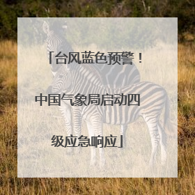 台风蓝色预警！中国气象局启动四级应急响应