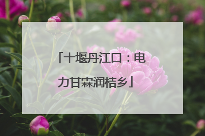 十堰丹江口：电力甘霖润桔乡