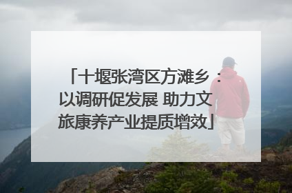 十堰张湾区方滩乡：以调研促发展 助力文旅康养产业提质增效