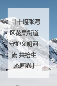 十堰张湾区花果街道守护文明河流 共绘生态画卷