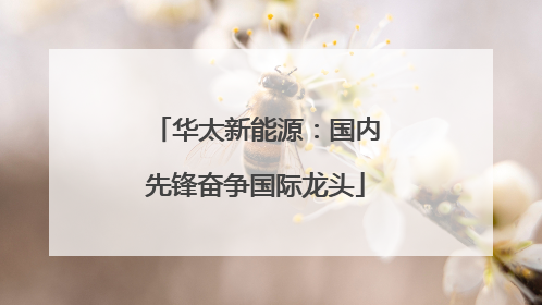 华太新能源：国内先锋奋争国际龙头