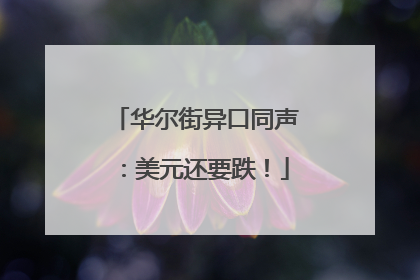 华尔街异口同声：美元还要跌！