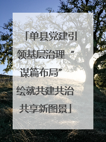 单县党建引领基层治理“谋篇布局” 绘就共建共治共享新图景