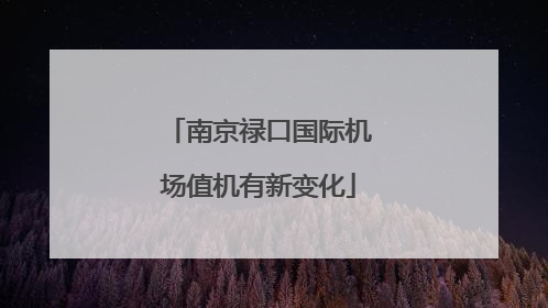 南京禄口国际机场值机有新变化