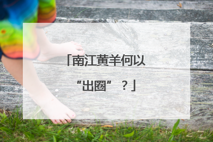 南江黄羊何以“出圈”？