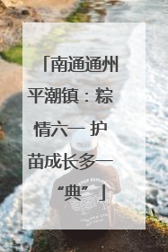 南通通州平潮镇：粽情六一 护苗成长多一“典”