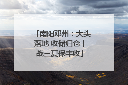 南阳邓州：大头落地 收储归仓丨战三夏保丰收