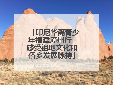 印尼华裔青少年福建漳州行：感受祖地文化和侨乡发展脉搏