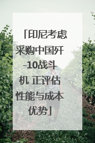 印尼考虑采购中国歼-10战斗机 正评估性能与成本优势