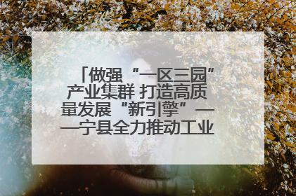 做强“一区三园”产业集群 打造高质量发展“新引擎”——宁县全力推动工业经济提质增效