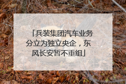 兵装集团汽车业务分立为独立央企，东风长安暂不重组