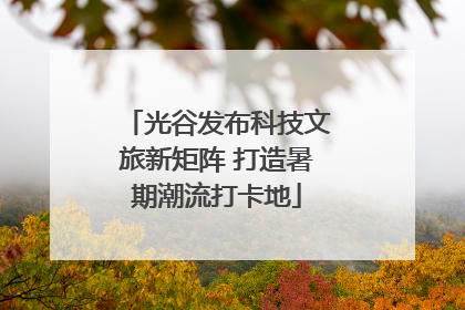 光谷发布科技文旅新矩阵 打造暑期潮流打卡地