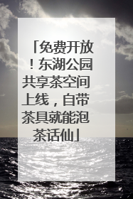 免费开放！东湖公园共享茶空间上线，自带茶具就能泡茶话仙