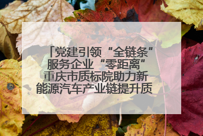 党建引领“全链条” 服务企业“零距离” 重庆市质标院助力新能源汽车产业链提升质量管理水平