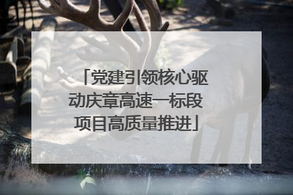 党建引领核心驱动庆章高速一标段项目高质量推进