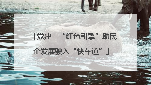 党建｜“红色引擎”助民企发展驶入“快车道”