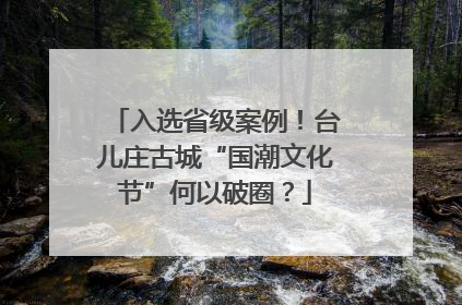 入选省级案例！台儿庄古城“国潮文化节”何以破圈？