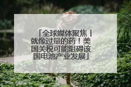全球媒体聚焦丨就像过量的药！美国关税可能阻碍该国电池产业发展