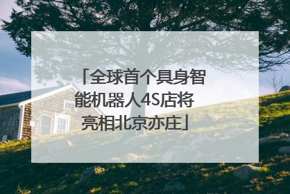 全球首个具身智能机器人4S店将亮相北京亦庄