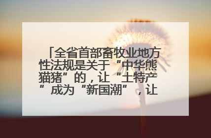 全省首部畜牧业地方性法规是关于“中华熊猫猪”的，让“土特产”成为“新国潮”，让“农产品”升格为“城市IP”