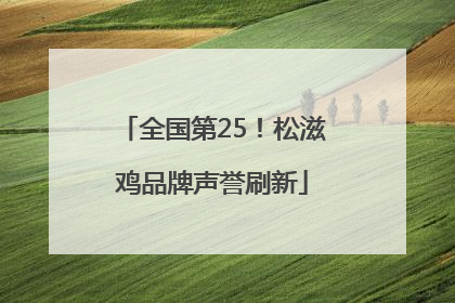 全国第25！松滋鸡品牌声誉刷新