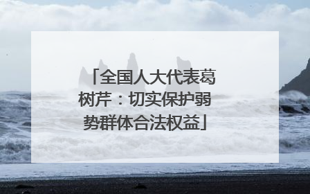 全国人大代表葛树芹：切实保护弱势群体合法权益