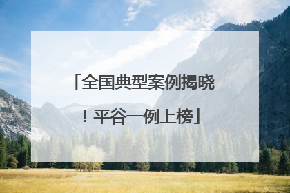 全国典型案例揭晓！平谷一例上榜