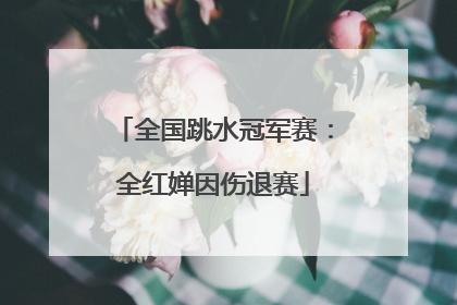 全国跳水冠军赛：全红婵因伤退赛