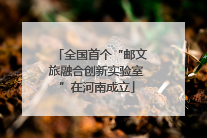全国首个“邮文旅融合创新实验室”在河南成立