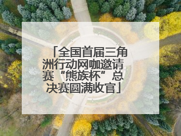 全国首届三角洲行动网咖邀请赛“熊族杯”总决赛圆满收官
