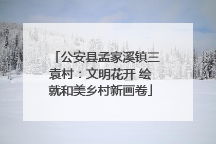 公安县孟家溪镇三袁村：文明花开 绘就和美乡村新画卷
