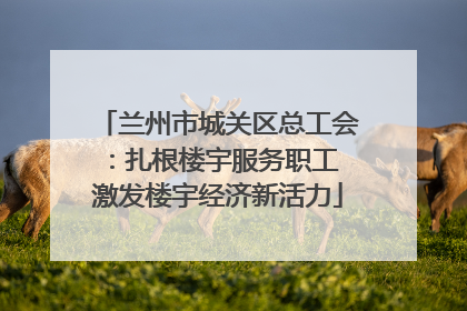 兰州市城关区总工会：扎根楼宇服务职工 激发楼宇经济新活力