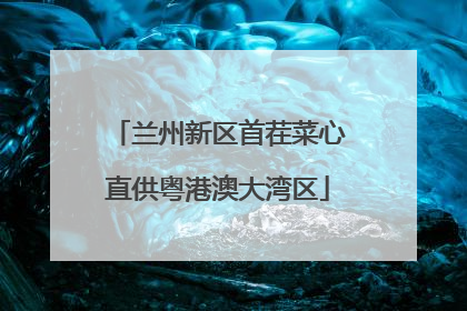 兰州新区首茬菜心直供粤港澳大湾区
