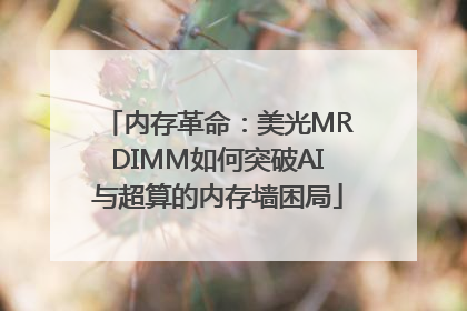 内存革命：美光MRDIMM如何突破AI与超算的内存墙困局