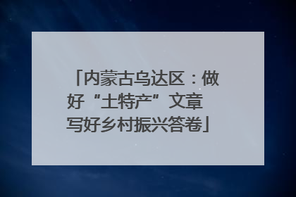 内蒙古乌达区：做好“土特产”文章 写好乡村振兴答卷