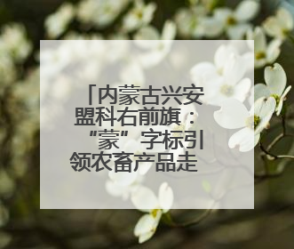 内蒙古兴安盟科右前旗：“蒙”字标引领农畜产品走向全国
