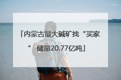 内蒙古最大碱矿找“买家” 储量20.77亿吨