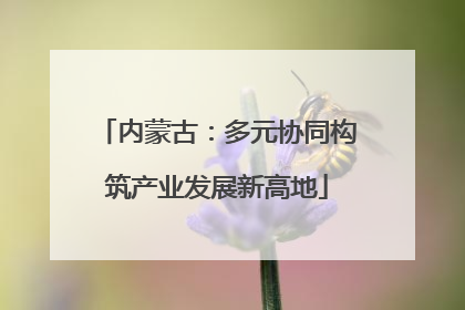 内蒙古：多元协同构筑产业发展新高地