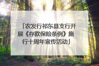 农发行祁东县支行开展《存款保险条例》施行十周年宣传活动