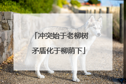 冲突始于老柳树 矛盾化于柳荫下