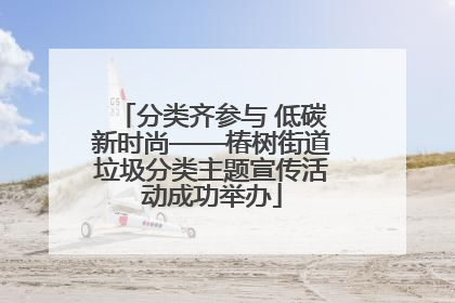 分类齐参与 低碳新时尚——椿树街道垃圾分类主题宣传活动成功举办