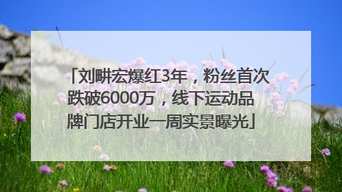 刘畊宏爆红3年，粉丝首次跌破6000万，线下运动品牌门店开业一周实景曝光