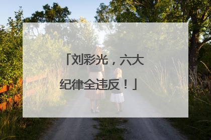 刘彩光，六大纪律全违反！